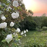 La Canopee Des Arbres, Anna Guest house Ellezelles