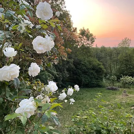 La Canopee Des Arbres, Anna Гостевой дом Ellezelles