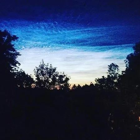 Гостевой дом La Canopee Des Arbres, Anna Ellezelles