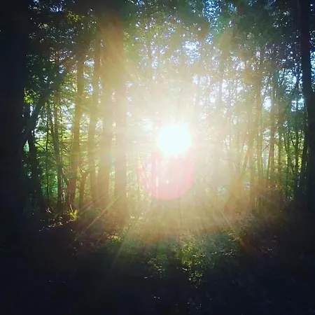La Canopee Des Arbres, Anna Vendégház
