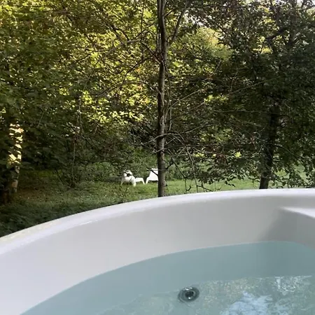 La Canopee Des Arbres, Anna 3*