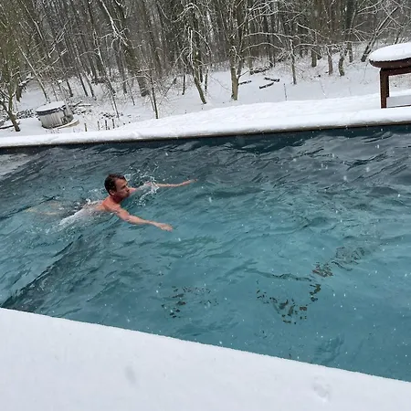 La Canopee Des Arbres, Anna