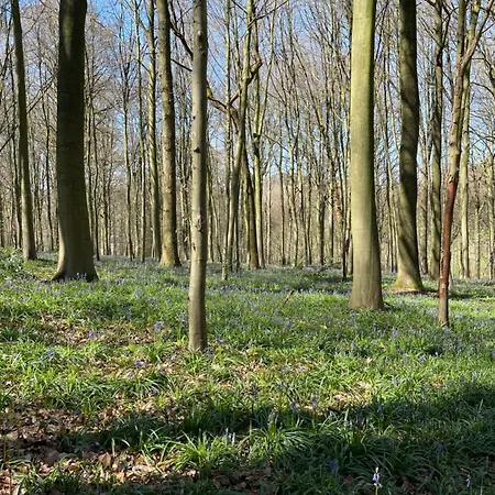 La Canopee Des Arbres, Anna 3*