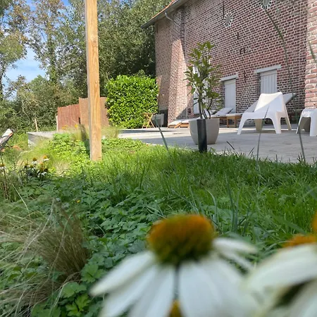 Guest house La Canopee Des Arbres, Anna Ellezelles