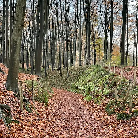 La Canopée Des Arbres, Anna Affittacamere 4*
