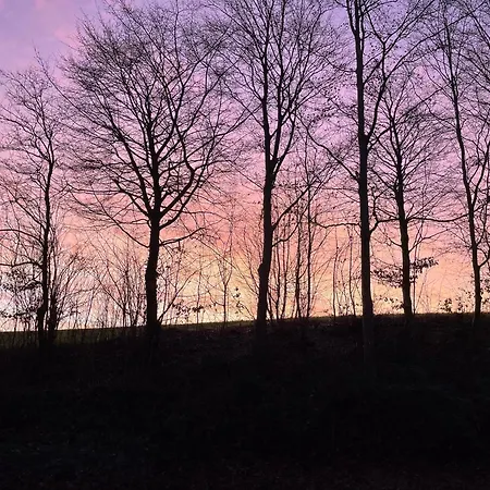 La Canopee Des Arbres, Anna *
