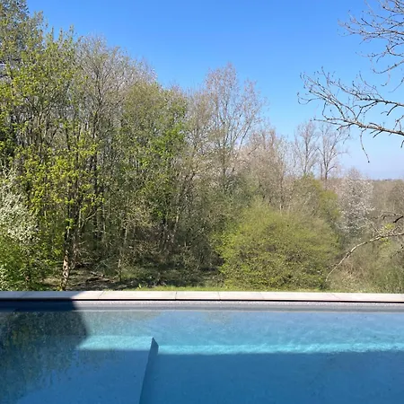 La Canopee Des Arbres, Anna Ellezelles