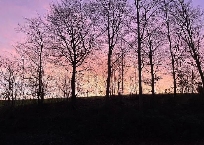 La Canopee Des Arbres, Anna 3*