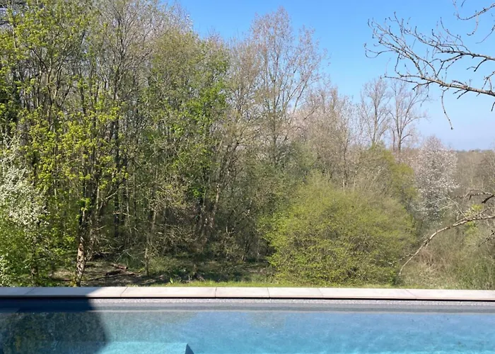 La Canopee Des Arbres, Anna Ellezelles